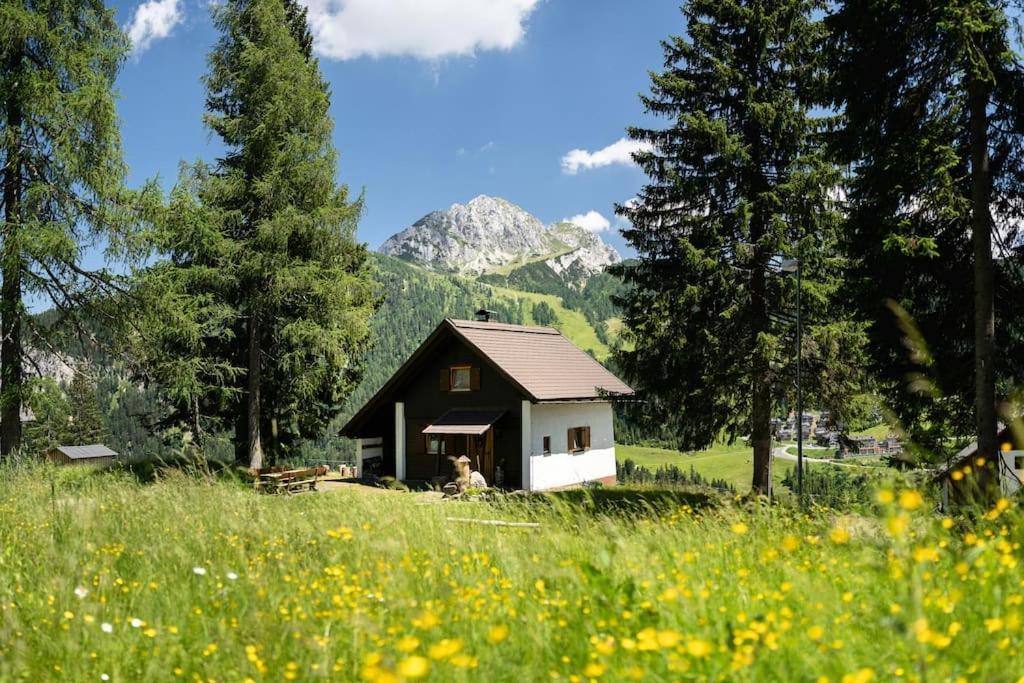 Gemuetliche Huette In Den Bergen Vila Sonnenalpe Nassfeld Exterior foto